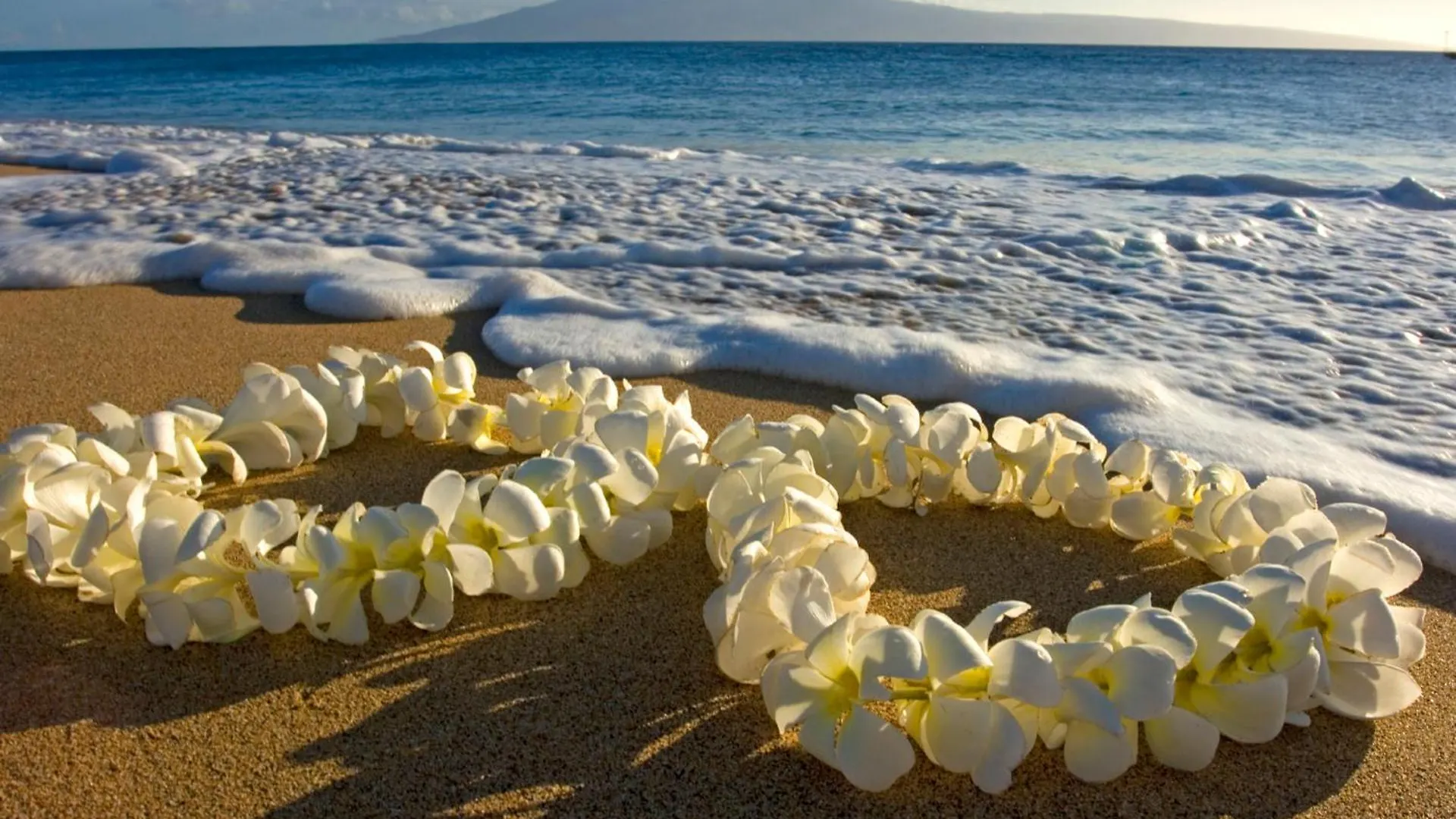 Renovated Ocean View Suite, Near Beach, Free Parking Honolulu Appartamento