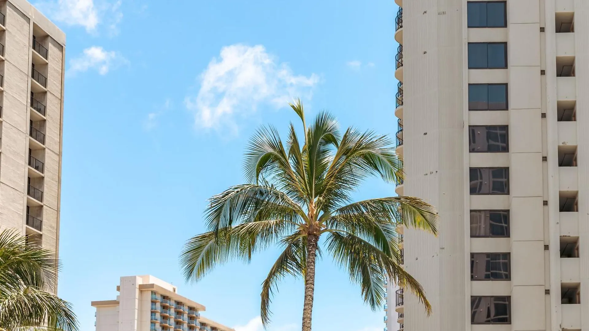 Appartamento Renovated Ocean View Suite, Near Beach, Free Parking Honolulu