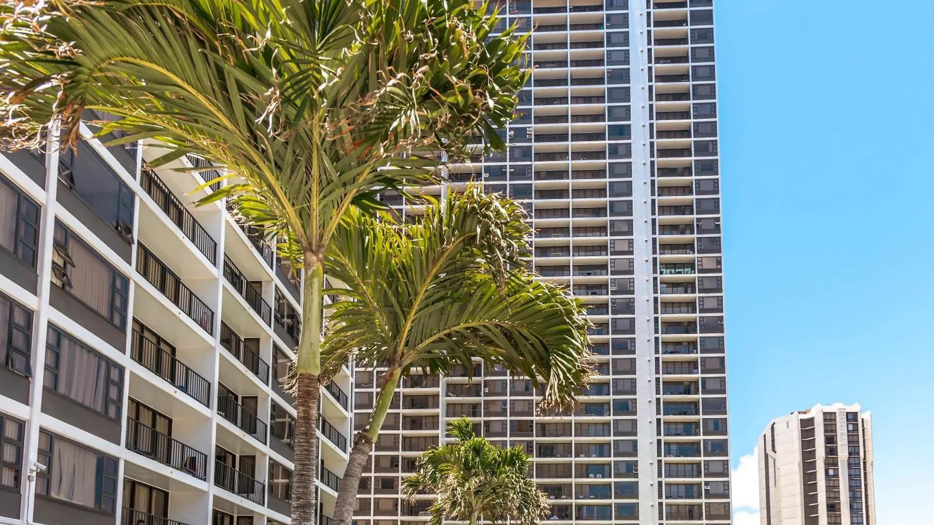 Renovated Ocean View Suite, Near Beach, Free Parking Honolulu Appartamento